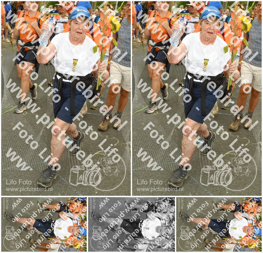 Evenement foto: Nijmeegse Vierdaagse 304