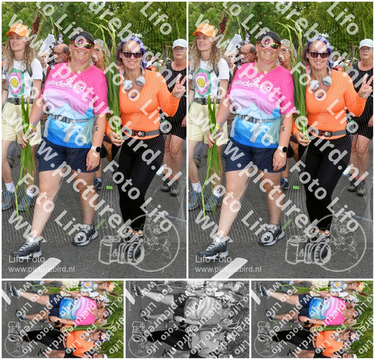 Evenement foto: Nijmeegse Vierdaagse 304