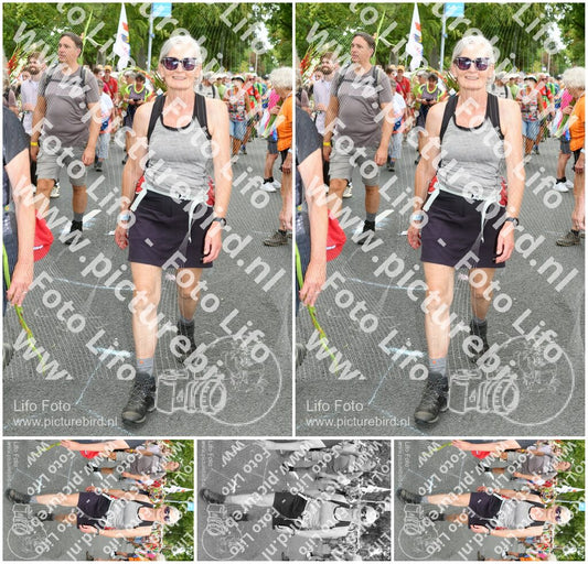 Evenement foto: Nijmeegse Vierdaagse 304
