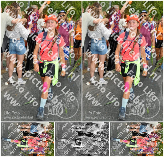 Evenement foto: Nijmeegse Vierdaagse 1059