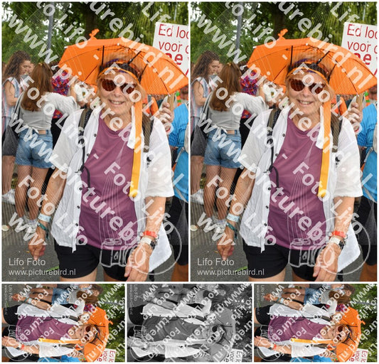 Evenement foto: Nijmeegse Vierdaagse 1059