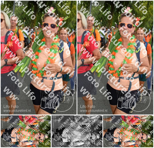 Evenement foto: Nijmeegse Vierdaagse 1059