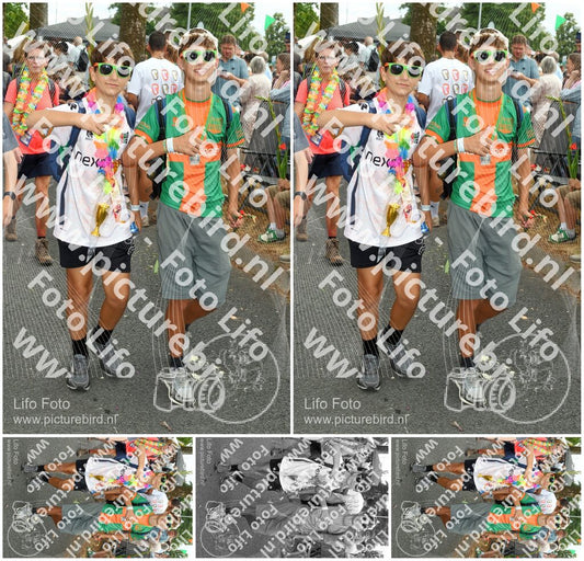 Evenement foto: Nijmeegse Vierdaagse 1059