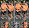 Evenement foto: Nijmeegse Vierdaagse 1059
