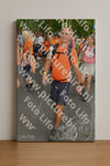 Evenement foto: Nijmeegse Vierdaagse 1059