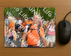 Evenement foto: Nijmeegse Vierdaagse 1059