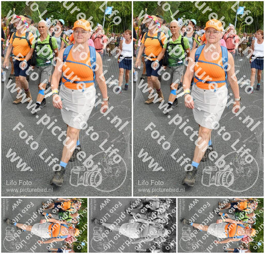Evenement foto: Nijmeegse Vierdaagse 1059