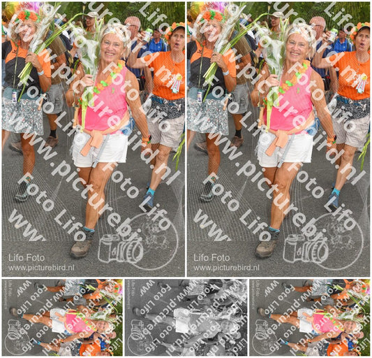 Evenement foto: Nijmeegse Vierdaagse 1059