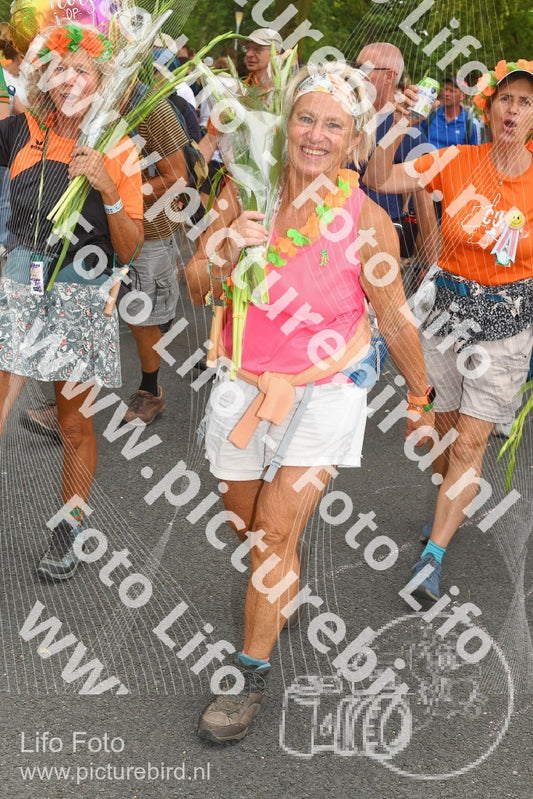 Evenement foto: Nijmeegse Vierdaagse 1059