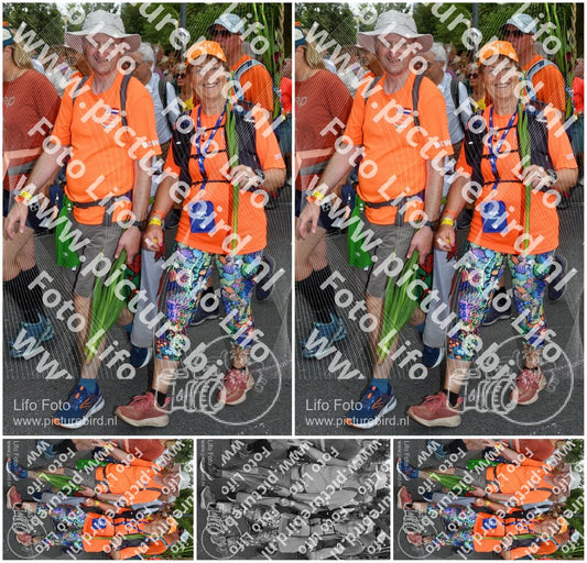 Evenement foto: Nijmeegse Vierdaagse 1059