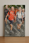 Evenement foto: Nijmeegse Vierdaagse 1059