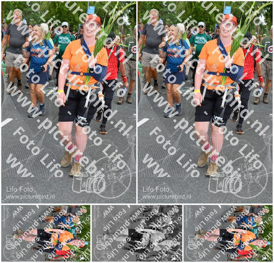 Evenement foto: Nijmeegse Vierdaagse 1059