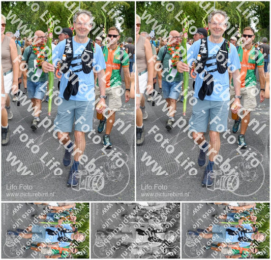 Evenement foto: Nijmeegse Vierdaagse 1059