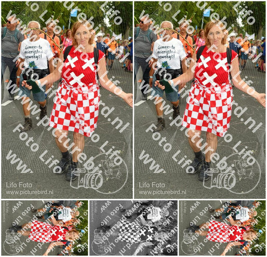 Evenement foto: Nijmeegse Vierdaagse 1058