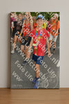 Evenement foto: Nijmeegse Vierdaagse 1058
