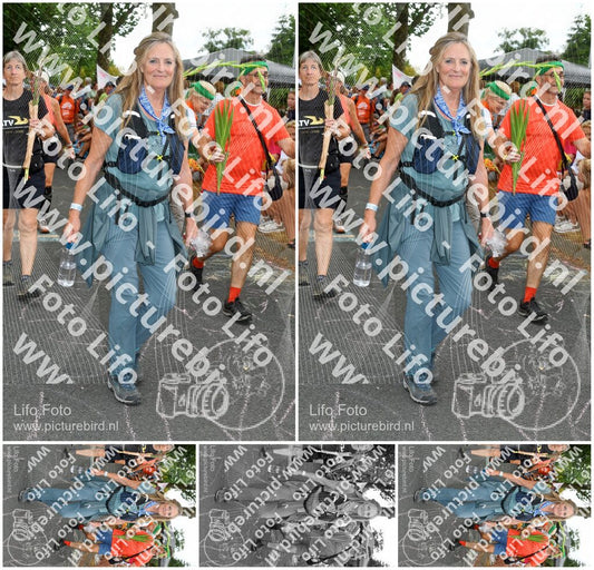 Evenement foto: Nijmeegse Vierdaagse 1058