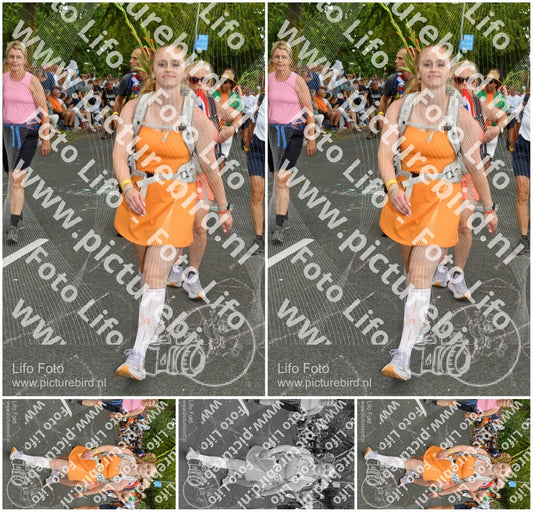 Evenement foto: Nijmeegse Vierdaagse 1058