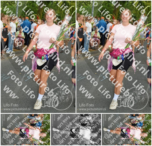 Evenement foto: Nijmeegse Vierdaagse 1058