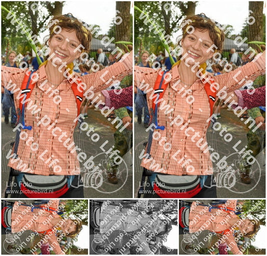 Evenement foto: Nijmeegse Vierdaagse 1058