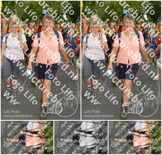Evenement foto: Nijmeegse Vierdaagse 1058