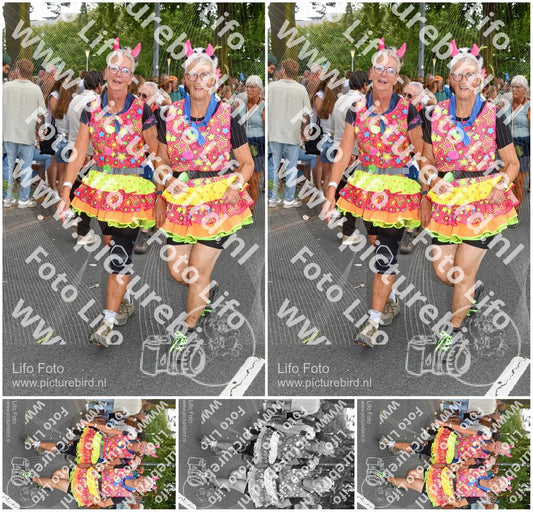 Evenement foto: Nijmeegse Vierdaagse 1058