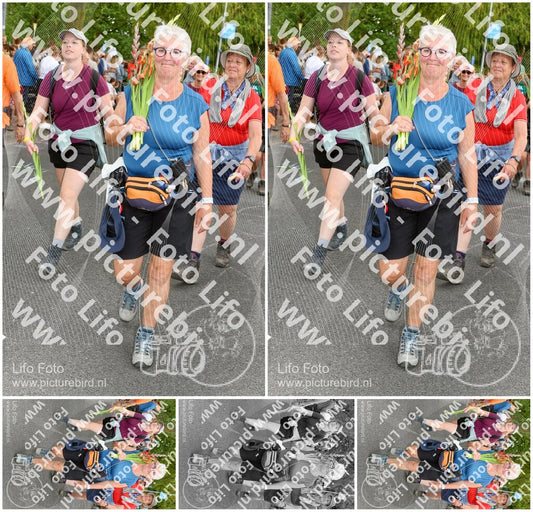 Evenement foto: Nijmeegse Vierdaagse 1058