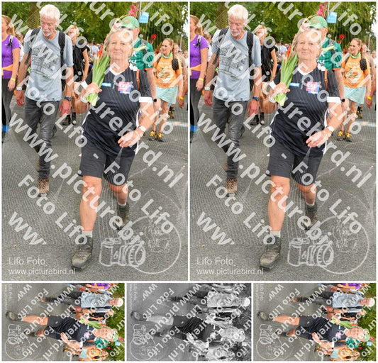 Evenement foto: Nijmeegse Vierdaagse 1058