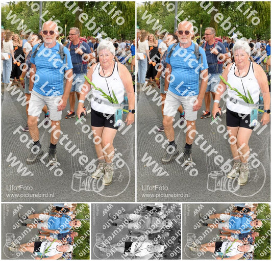 Evenement foto: Nijmeegse Vierdaagse 1058
