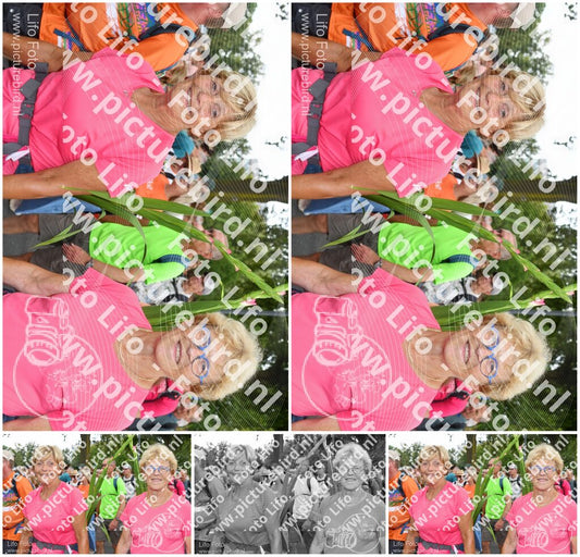 Evenement foto: Nijmeegse Vierdaagse 1058