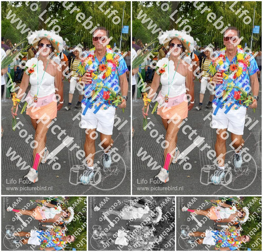 Evenement foto: Nijmeegse Vierdaagse 1057