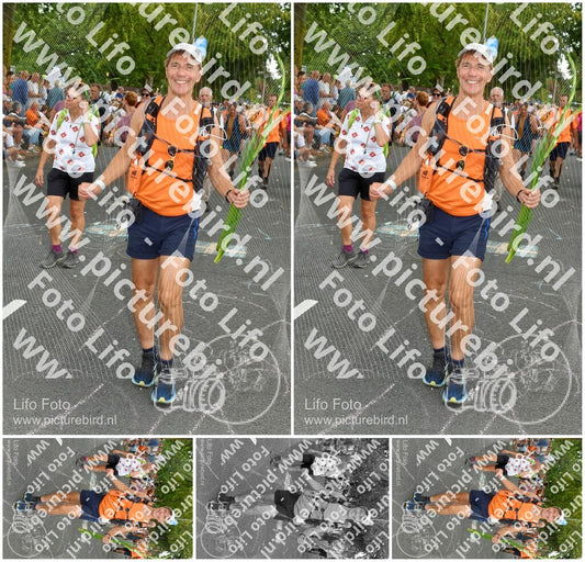 Evenement foto: Nijmeegse Vierdaagse 1057