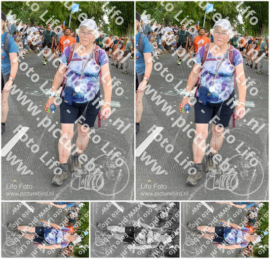 Evenement foto: Nijmeegse Vierdaagse 1057