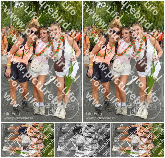 Evenement foto: Nijmeegse Vierdaagse 1057