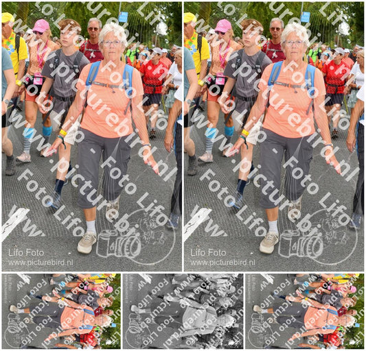 Evenement foto: Nijmeegse Vierdaagse 1057