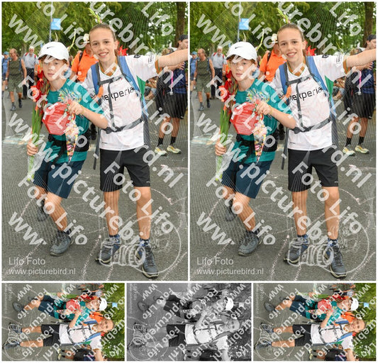 Evenement foto: Nijmeegse Vierdaagse 1057