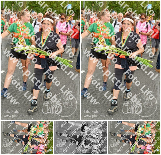 Evenement foto: Nijmeegse Vierdaagse 1057