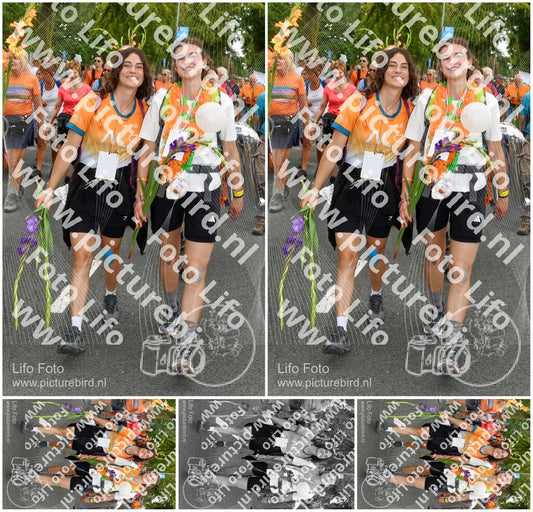 Evenement foto: Nijmeegse Vierdaagse 1057