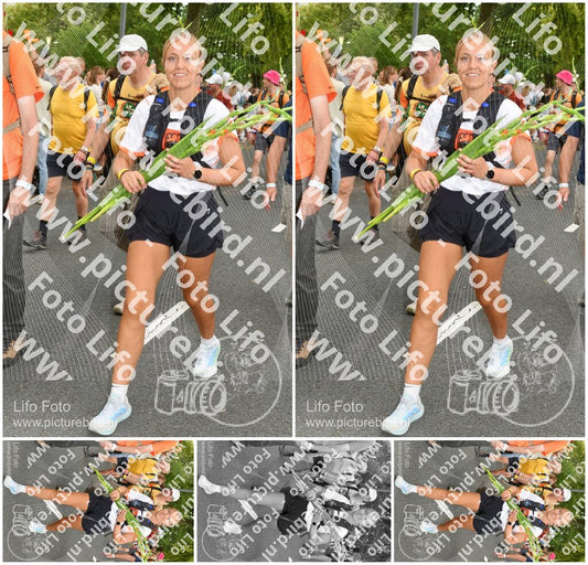 Evenement foto: Nijmeegse Vierdaagse 1057