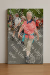 Evenement foto: Nijmeegse Vierdaagse 1056