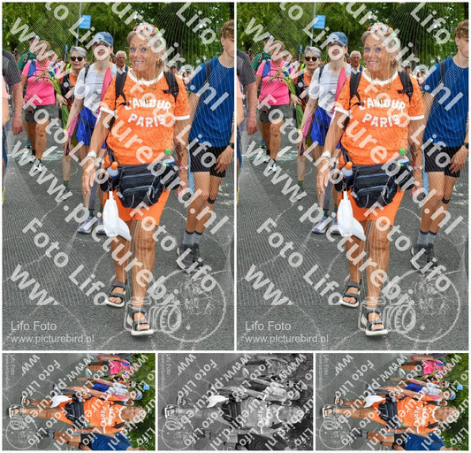 Evenement foto: Nijmeegse Vierdaagse 1056