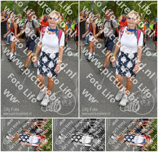 Evenement foto: Nijmeegse Vierdaagse 1056