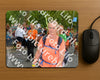 Evenement foto: Nijmeegse Vierdaagse 1056