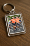 Evenement foto: Nijmeegse Vierdaagse 1056