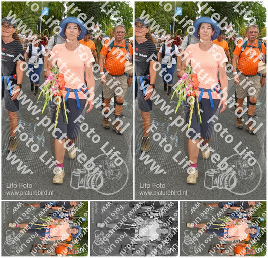 Evenement foto: Nijmeegse Vierdaagse 1056