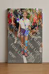 Evenement foto: Nijmeegse Vierdaagse 1056
