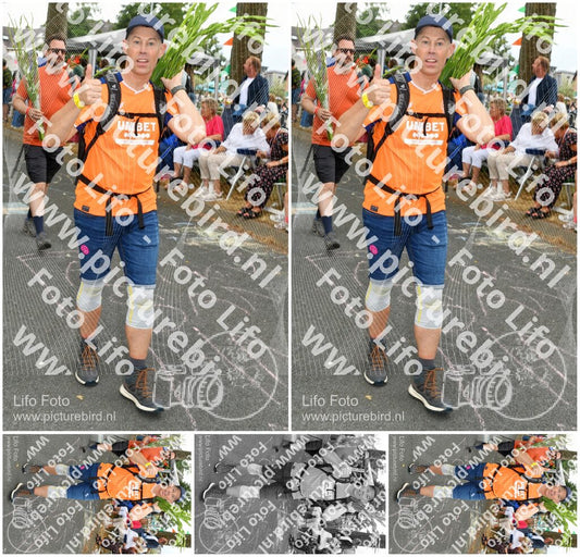 Evenement foto: Nijmeegse Vierdaagse 1056