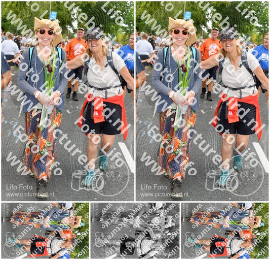 Evenement foto: Nijmeegse Vierdaagse 1056
