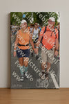 Evenement foto: Nijmeegse Vierdaagse 1056