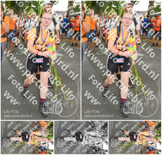 Evenement foto: Nijmeegse Vierdaagse 1056