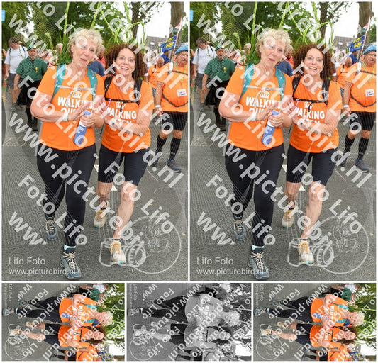 Evenement foto: Nijmeegse Vierdaagse 1056